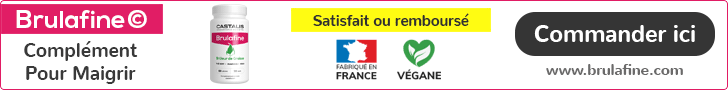 Brûleur de graisse